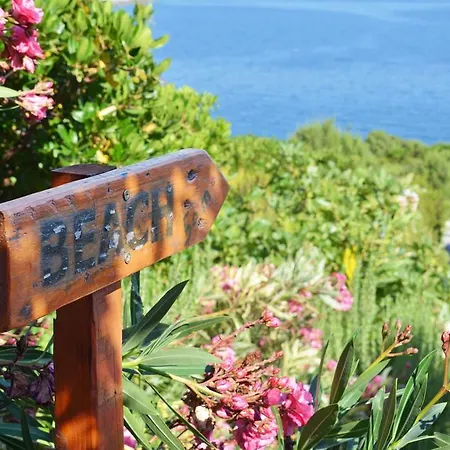 House Lana Zavalatica