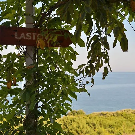 Tatil Evi House Lana Zavalatica